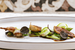 FOUR SEASONS CELEBRATES GLOBAL MICHELIN STAR LEADERSHIP WITH 32 STARS ACROSS ITS DYNAMIC RESTAURANT PORTFOLIO