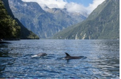 Cunard Announces 50 Exclusive Queen Anne Shore Experiences in 2024